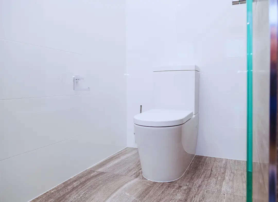 Remplacement de wc Maizières-lès-Metz